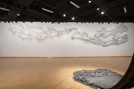 Teresita Fernández: Blind Landscape