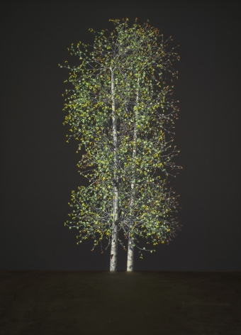 JENNIFER STEINKAMP Blind Eye 2, 2018