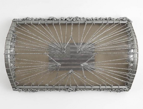 NARI WARD Great Reburn, 2012