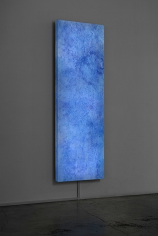 SHIRAZEH HOUSHIARY The River is Within Us, 2015