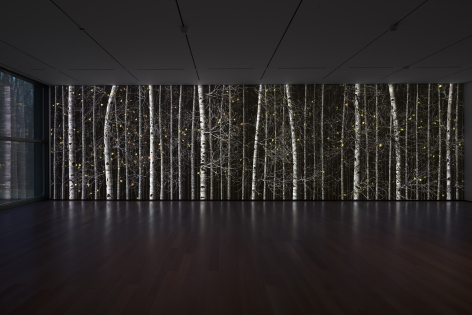 Jennifer Steinkamp: Blind Eye, Installation view, The Clark Art Institute, Williamstown, MA