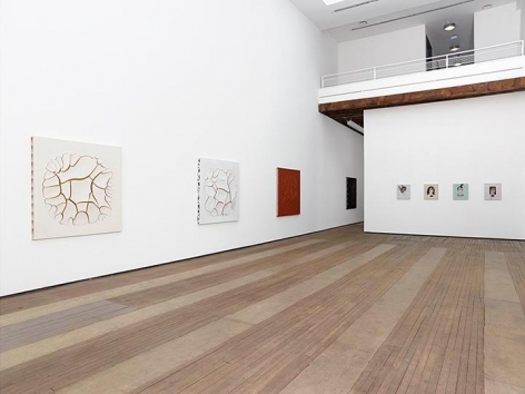 Adriana Varejão, Kindred Spirits Installation view 3