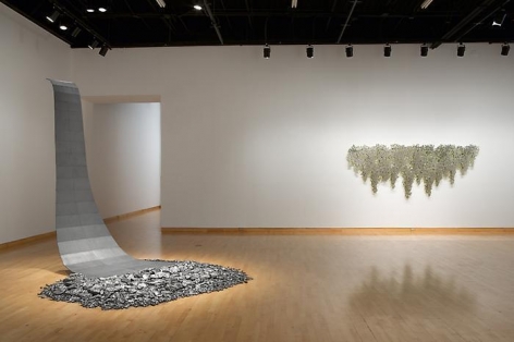 Teresita Fernández: Blind Landscape