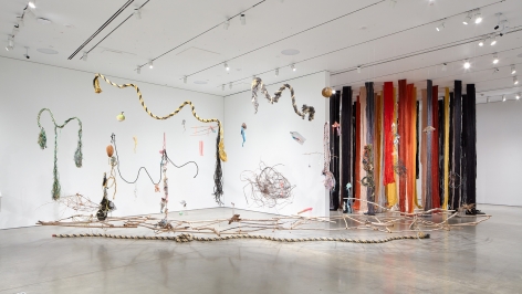 CECILIA VICUÑA, Installation view