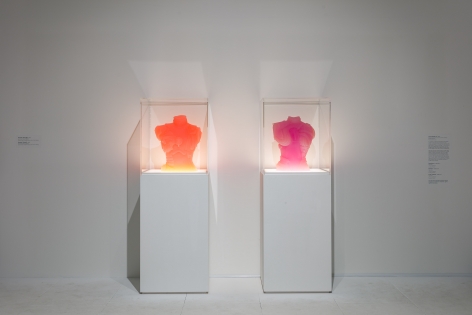 Installation view Hayward Gallery, 2018