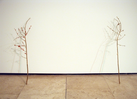 ANYA GALLACCIO: love is only a feeling Lehmann Maupin North Gallery view 3.