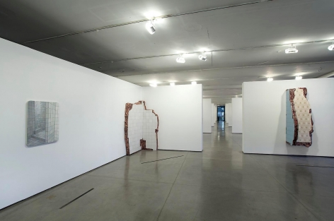 ADRIANA VAREJÃO: Histories at the Margins