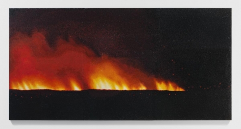 TERESITA FERNÁNDEZ Fire (America) 2, 2016