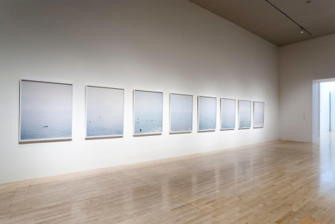 Installation view of Catherine Opie: Figure and Landscape at the Los Angeles County Museum of Art, Los Angeles
