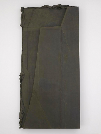 LIU WEI Jungle No.19, 2012