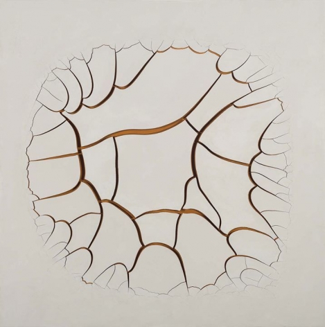 ADRIANA VAREJÃO