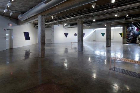 Perspectives 177: McArthur Binion, Installation view, Contemporary Arts Museum Houston