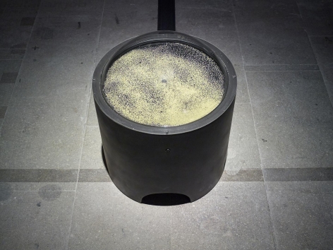 Kader Attia