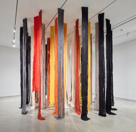 CECILIA VICUÑA, Burnt Quipu, 2018