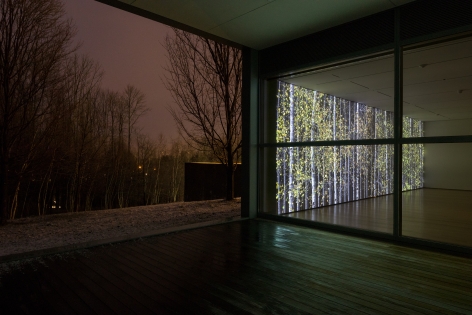 Jennifer Steinkamp: Blind Eye, Installation view, The Clark Art Institute, Williamstown, MA