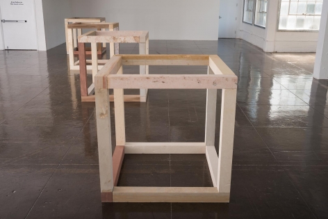 Anya Gallaccio: This much is true