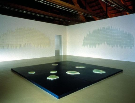 TERESITA FERNÃNDEZ Pond, 2001