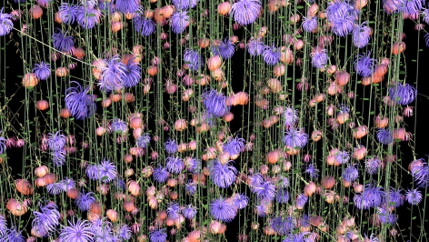 JENNIFER STEINKAMP Rapunzel 5, 2005