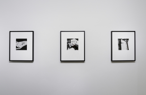 Catherine Opie: O, Installation view, Los Angeles County Museum of Art (LACMA), CA