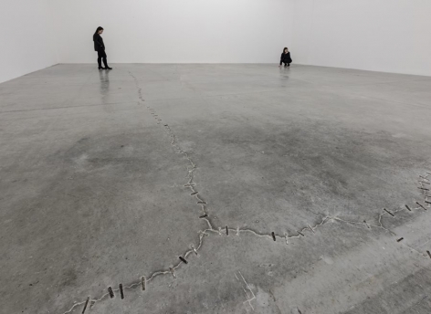 Kader Attia: The Field of Emotion