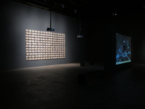Robin Rhode: Animating the Everyday