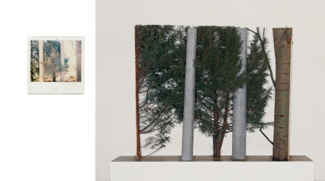 LIU WEI, As Long As I See It - No.1, 2006