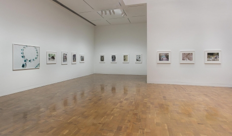 Catherine Opie, 700 Nimes Road 