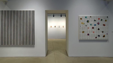 Installation view at The Warehouse Gallery at Syracuse University, 2008