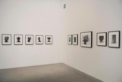 Installation view, 55th International Venice Biennale