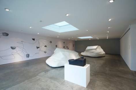 ERWIN WURM: Home