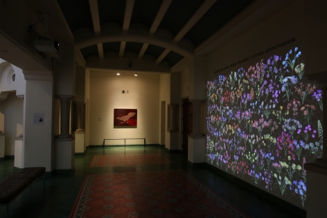 Jennifer Steinkamp: Botanic 3, Installation view, McNay Art Museum, San Antonio, TX