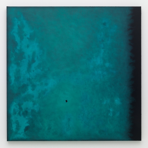 SHIRAZEH HOUSHIARY Fjord, 2014