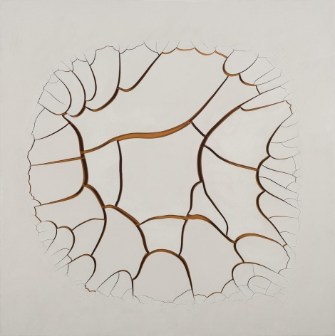 ADRIANA VAREJÃO White Mimbres I, 2015