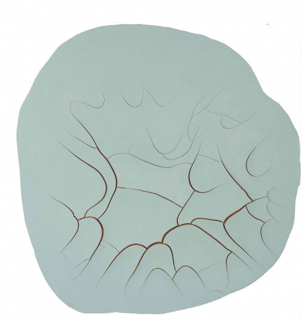ADRIANA VAREJÃO Monocromo Celadon, 2015
