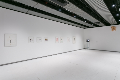 Installation view Hayward Gallery, 2018