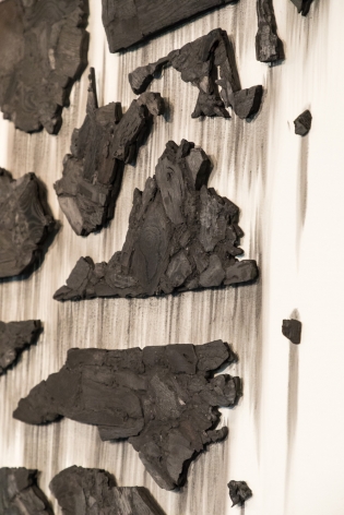 TERESITA FERNÁNDEZ, Fire (United States of the Americas) 2, 2018