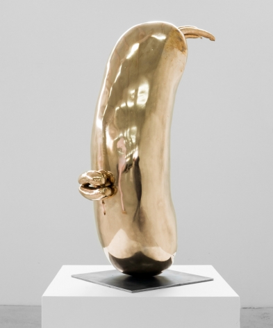 ERWIN WURM, Head (Lips), 2014