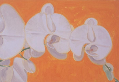 Orchid, 2002 oil on linen