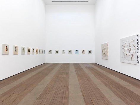 Adriana Varejão, Kindred Spirits Installation view 1