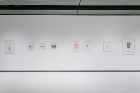 Installation view Hayward Gallery, 2018