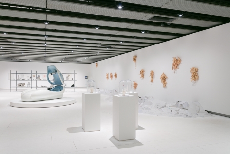 Installation view Hayward Gallery, 2018