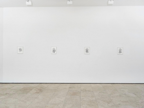 Tim Rollins and K.O.S.: On the Origin Installation view 4
