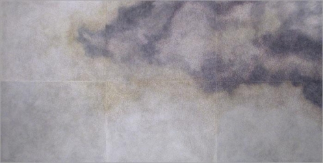 TERESITA FERNANDEZ Smoke (Heavy), 2005