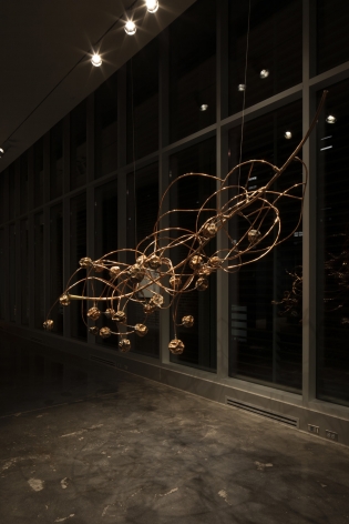 NICHOLAS HLOBO, Unyukelo