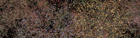Jennifer Steinkamp: Digital Nature, Installation view, Telefónica Foundation Space, Madrid, Spain