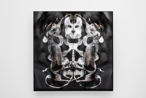 TONY OURSLER, Nonstate Gris, 2019
