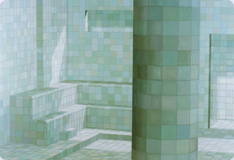 ADRIANA VAREJÃO, Green Sauna, 2003