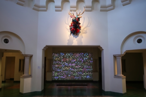 Jennifer Steinkamp: Botanic 3, Installation view, McNay Art Museum, San Antonio, TX