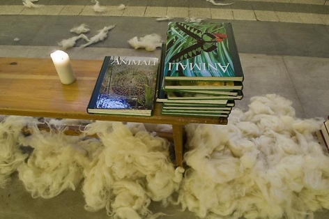 STEFANO ARIENTI, Installation view of Enciclopedia, Complesso Monumentale Santo Spirito, Sassia, Italy