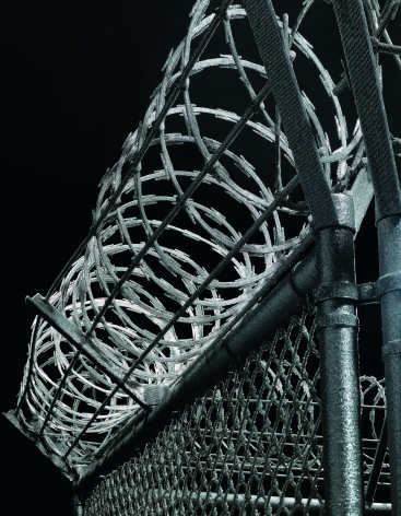 LIZA LOU Security Fence (detail), 2005